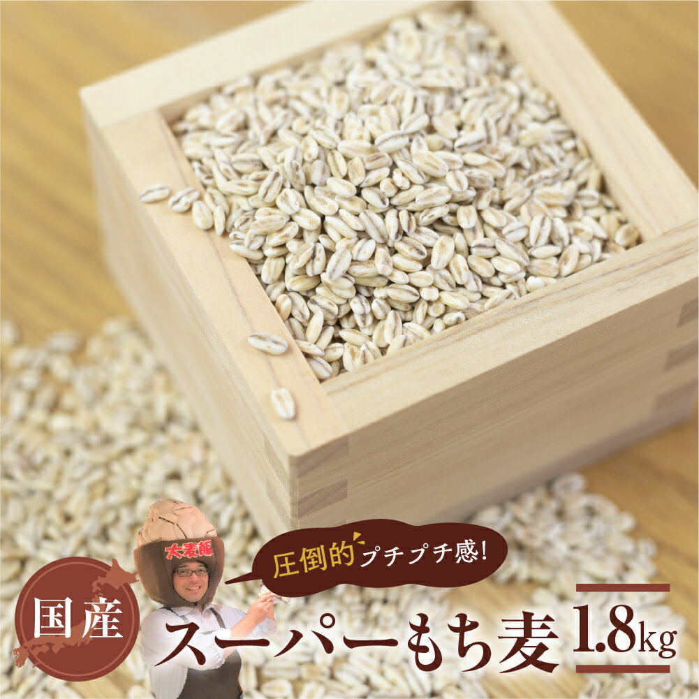 国産スーパー もち麦 1.8kg 食物繊維 たっぷり もちむぎ 麦 麦ごはん 麦味噌 麦みそ 混ぜて炊くだけ 雑穀米 健康 愛知県 豊橋市 10000円 1万円