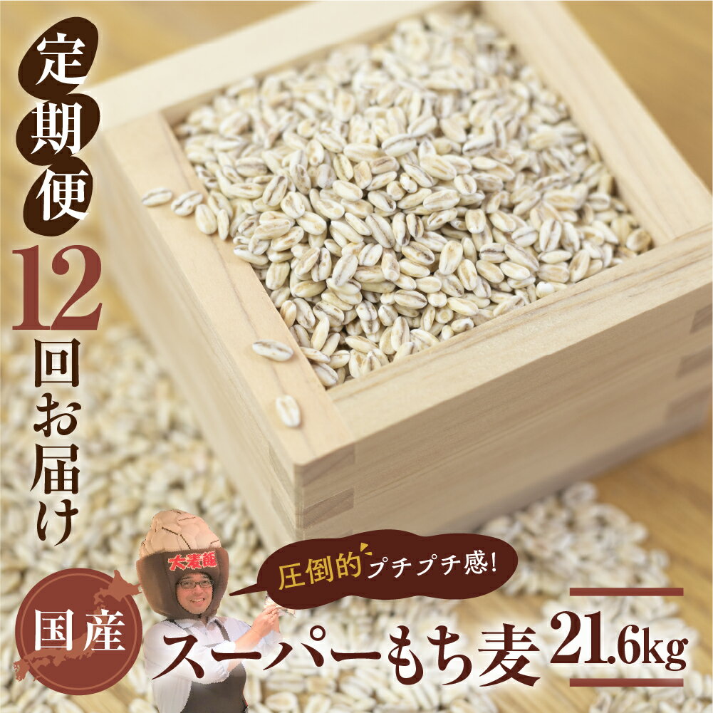 【ふるさと納税】国産スーパー もち麦 12回定期便 (1.8kg × 12)計18kg 月に1回お届け 1年定期便 食物繊維 たっぷり もちむぎ 麦 麦ごはん 麦味噌 麦みそ 混ぜて炊くだけ 雑穀米 健康 定期便 12回 愛知県 豊橋市 47000円