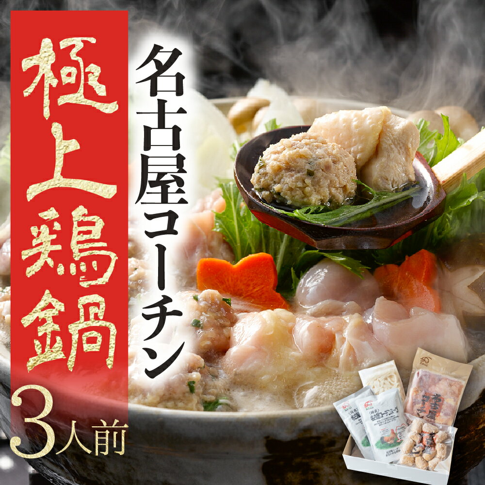 名古屋コーチン 極上 鶏 鍋セット 3人前 国産 地鶏 もも むね きしめん つくね 鶏肉 鳥肉 ブランド鶏 地鶏 ブランド地鶏 愛知県 豊橋市 肉 お肉 冷凍 1万円 10000円 愛知県 豊橋市