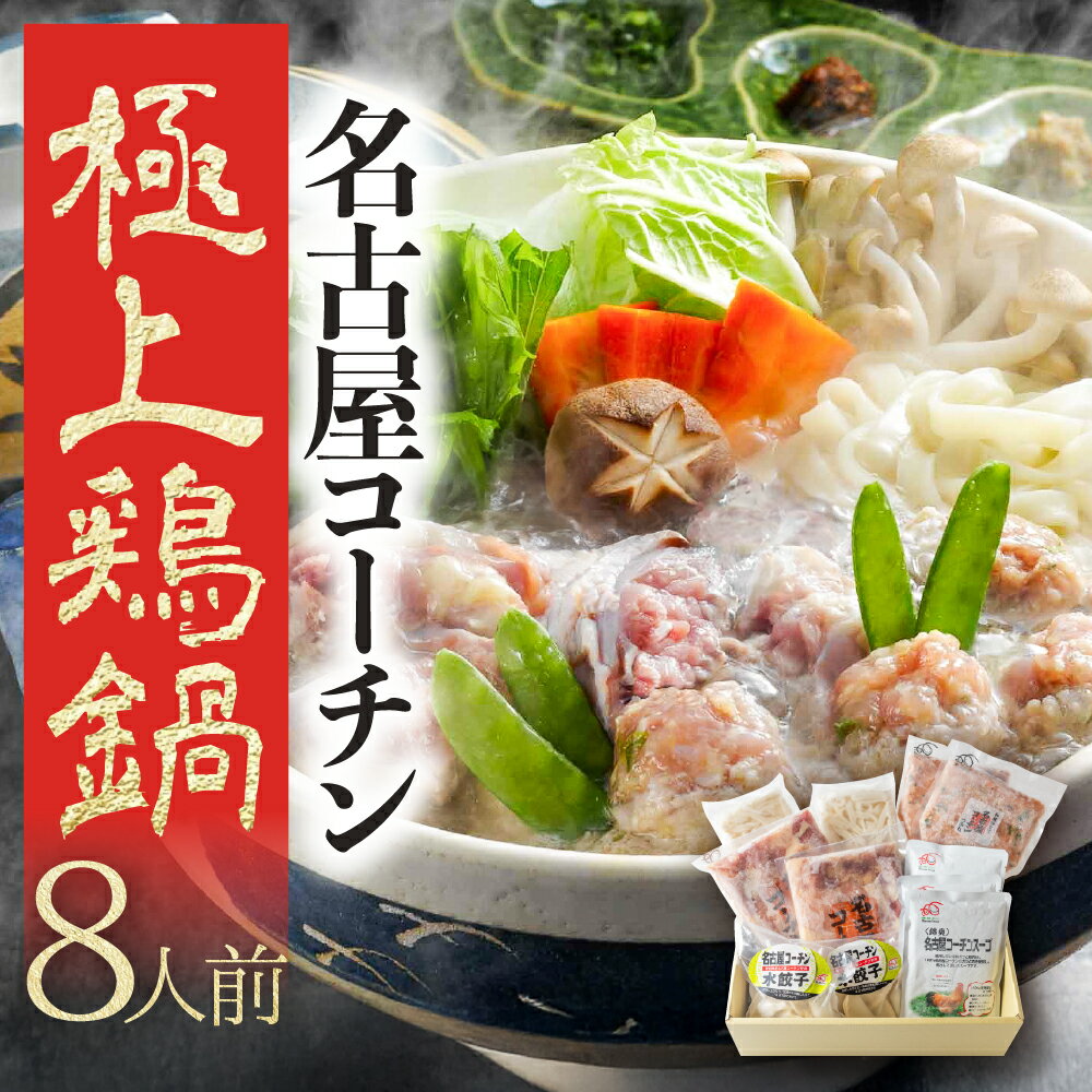名古屋コーチン 極上 鶏 鍋セット 8人前 国産 地鶏 もも むね きしめん つくね 鶏肉 鳥肉 ブランド鶏 地鶏 ブランド地鶏 愛知県 豊橋市 肉 お肉 冷凍 2万円 20000円 愛知県 豊橋市