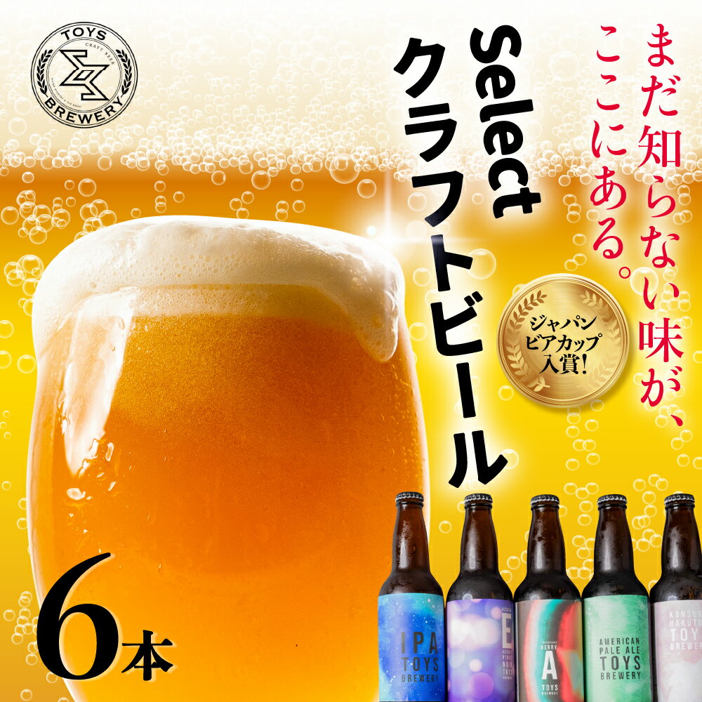 【ふるさと納税】JBC入賞 クラフトビール アソート 6本 セット T...(4)