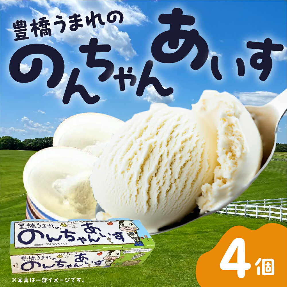 中央製乳 豊橋うまれののんちゃんあいす3個×4パックセット アイス アイスクリーム 氷菓 おやつ 牛乳 送料無料
