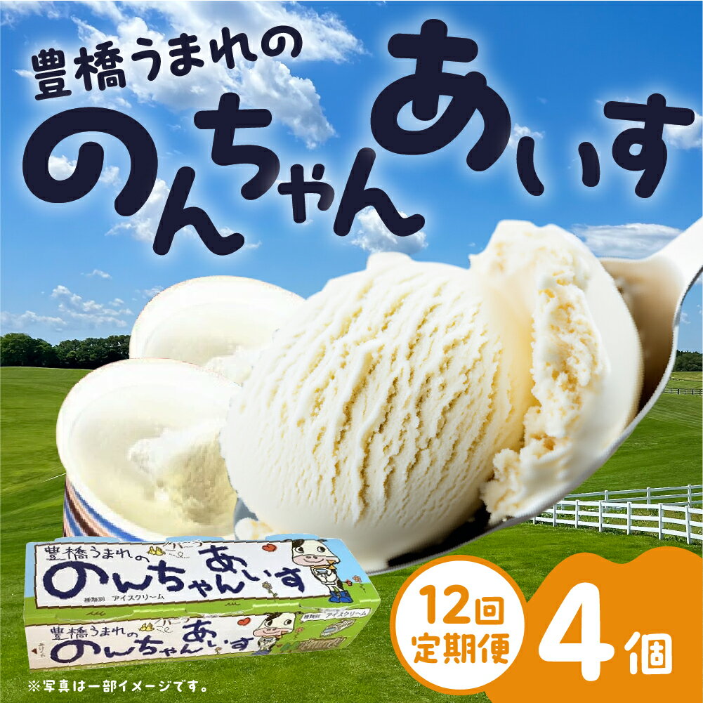 中央製乳 12回定期便 豊橋うまれののんちゃんあいす3個×4パックセット アイス アイスクリーム 氷菓 おやつ 牛乳 送料無料
