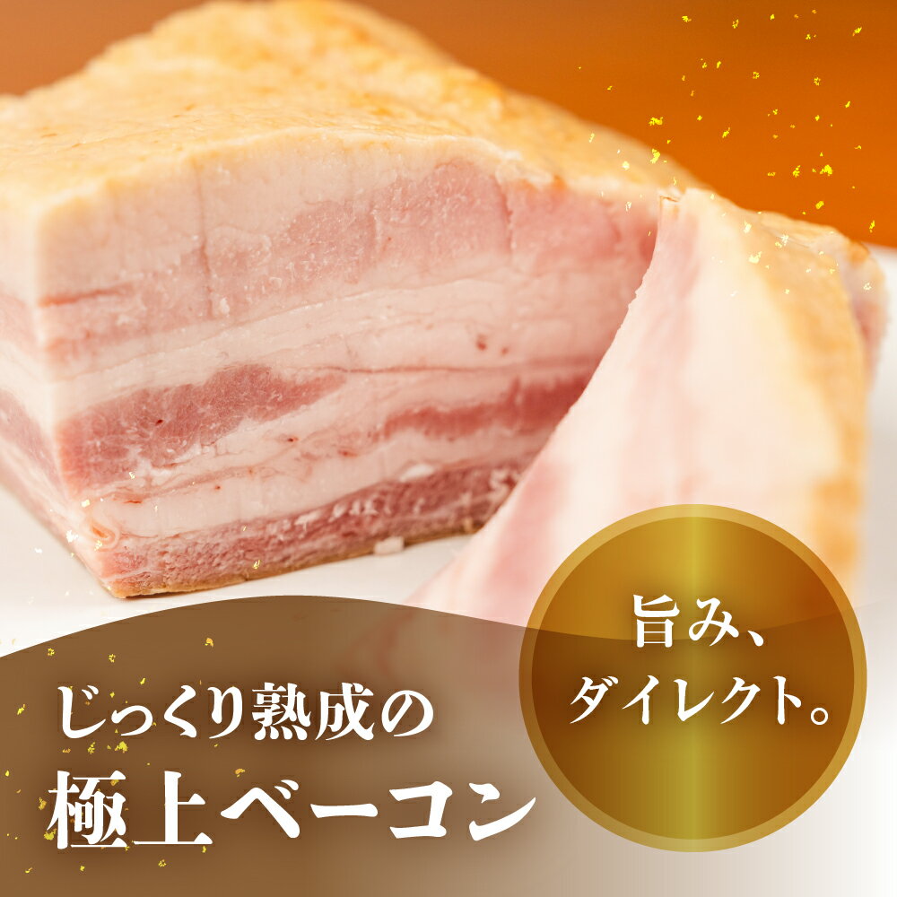 【ふるさと納税】ブロックベーコン 600g ジューシー 国産 10000円 大容量 訳あり おかず 毎日の食卓に 朝食 お弁当 晩酌 おつまみ サラダ クリスマス・年末年始のオードブルに ジブリ飯
