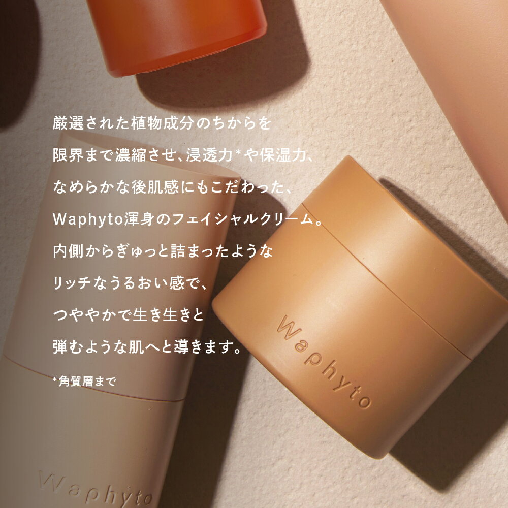 【ふるさと納税】Waphyto レジェナ エンリッチドクリーム 50g ワフィト 化粧品 クリーム 保湿クリーム スキンケア コスメ 保湿ケア ギフト プレゼント おすすめ おススメ 美容 愛知県 豊橋市