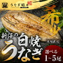 【ふるさと納税】☆5 希少 山義養魚の『うなぎ晴々』白焼 厳選 国産 新仔うなぎ 若うなぎ 鰻 簡易包装 ウナギ うなぎ 鰻 ギフト 配布 最高級 土用丑の日 ギフト 冷凍 お取り寄せ 送料無料 わさび や 山椒 塩 で 大人の贅沢 豊橋うなぎ 日本酒にもよくあう 豊橋