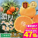 【ふるさと納税】 ≪先行予約≫ハウスミカン 家庭用 3.5kg 訳あり...(4)