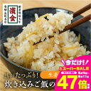 【ふるさと納税】 濱金商店 炊込みご飯の素 『生姜』2袋 たけのこご飯 秋の味覚 詰め合わせ お楽しみ 簡単調理 炊くだけ 炊き込みご飯 お中元 お歳暮 愛知県 豊橋市