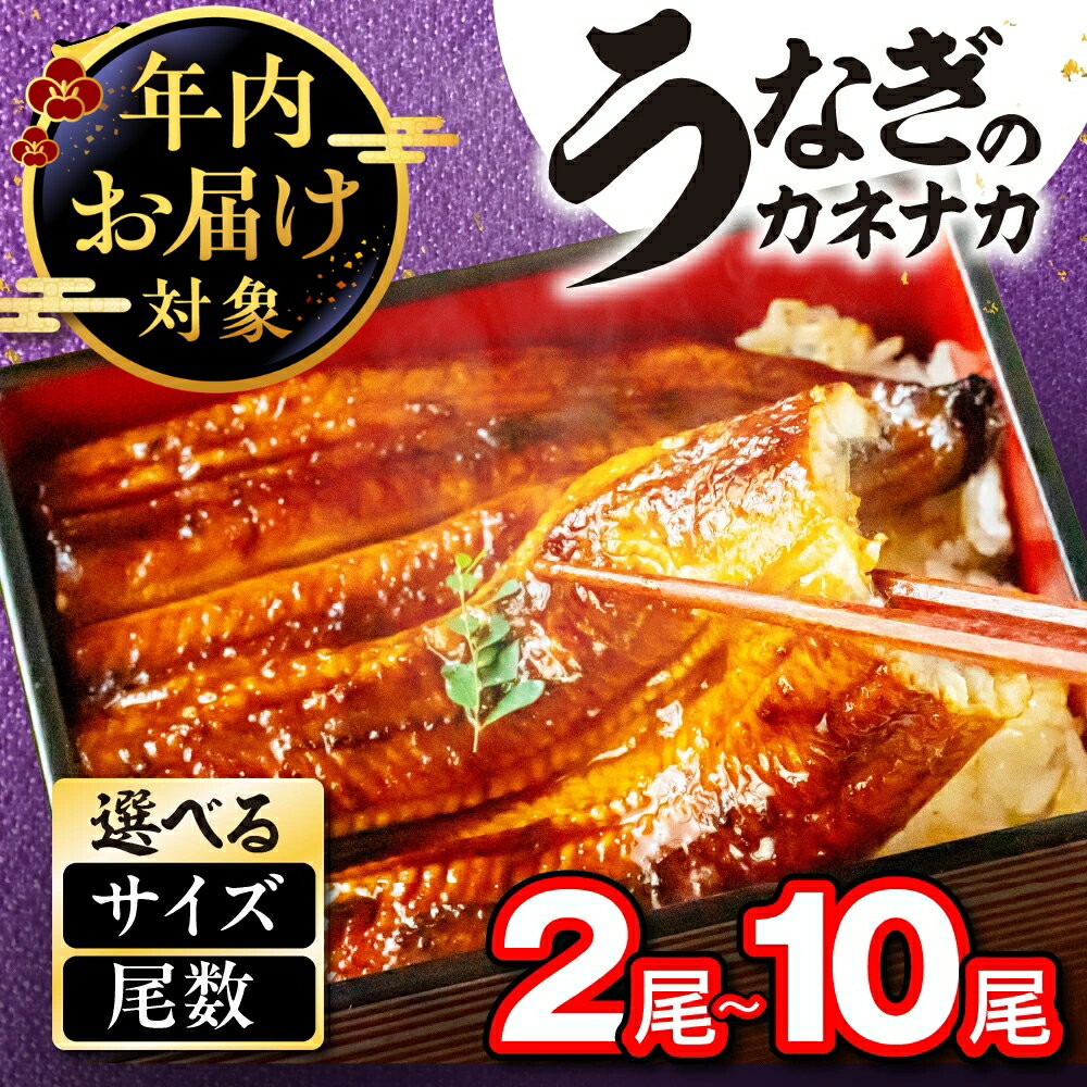 【ふるさと納税】選べる 年内発送 国産うなぎ蒲焼 2尾~10尾 タレ・山椒付 鰻 うなぎ unagi 国産 ウナ...