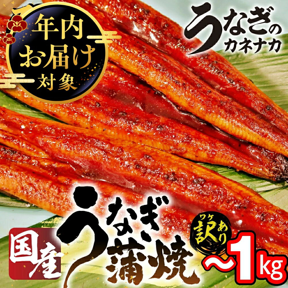 訳あり 国産 うなぎ ~10尾 ~1キロ 蒲焼 うなぎ 愛知県 三河 宮崎 静岡 産地 おまかせ 尾数 不揃い 2尾 3尾 4尾 5尾 6尾 8尾 10尾 長蒲焼 冷凍 丑の日 鰻 unagi わけあり 規格外 土用の丑の日 年内 年内配送 送料無料 年内発送 豊橋市 豊橋うなぎ
