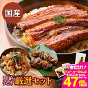 【ふるさと納税】国産 うなぎ 厳選セット 4種 蒲焼 うなぎ きざみ カット 肝 セット 愛知県 三河 宮崎 静岡 産地 おまかせ 国産 厳選 長蒲焼 冷凍 丑の日 鰻 unagi 化粧箱 ギフト 土用の丑の日 父の日 送料無料 愛知県 豊橋市