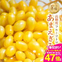 【ふるさと納税】≪先行予約≫あまえぎみ クレアイエロー フルーツトマト 1キロ 1kg たっぷり ミニトマト プチトマト トマト 高糖度 甘い フルーツ 野菜 お弁当 サラダ ギフト リコピン とまと 特産品 ブランド ブランドトマト 愛知県 豊橋市