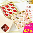 【ふるさと納税】≪先行予約≫ 最高級ギフト 紅白いちごの玉手箱 2段桐箱入 (各約300g / 計約600g) 大玉 紅白 天使のいちご 紅ほっぺ or ゆめのか いちご 食べ比べ セット イチゴ 苺 ブランドイチゴ 果物 フルーツ スイーツ 高糖度 産地直送 旬 贈答 ギフト 愛知県 豊橋市