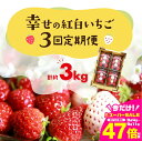 【ふるさと納税】≪先行予約≫幸せの紅白いちご 定期便 3回 計3kg (1回あたり約250g×4パック) イチゴ いちご 苺 ブランドイチゴ 果物 フルーツ スイーツ おやつ 紅ほっぺ ゆめのか スターナイト 天使のいちご 定期便 3ヶ月 白いちご 高糖度 甘い 産地直送 旬 愛知県 豊橋市