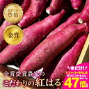 【ふるさと納税】《先行予約》金賞受賞 紅はるか 2kg 熟成 まるきん 伊藤農園 サツマイモ さつまいも 芋 高糖度 甘い 焼き芋 スイートポテト などに 採れたて 産地直送 道の駅とよはし 愛知県 豊橋市 送料無料 10000円
