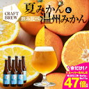 【ふるさと納税】東三河の地産地消にこだわったクラフトビール『DAMONDE』夏みかん・温州みかん(2種6本セット) ビール ビールセット 贈答 ギフト お祝い お酒 地ビール 地酒 瓶ビール おススメ ギフト プレミアムビール BBQ 差し入れ クラフト 麦酒 愛知県 豊橋市