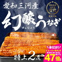【ふるさと納税】愛知県三河産 幻醸うなぎ 蒲焼き 2尾~5尾 選べる 国産うなぎ 鰻 タレ付 セット 厳選 ウナギ かば焼き 丑の日 高級 贅沢 ご褒美 特産品 ふっくら お取り寄せ うな重 うな丼 ひつまぶし 冷凍 内祝い お中元 お歳暮 愛知県 豊橋市 丑の日 土用の丑の日