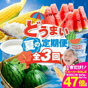 【ふるさと納税】どうまい 夏の味覚 定期便 全3回 すいか / とうもろこし / アイスクリーム / とうもろこし ゴールドラッシュ 高糖度 朝採れ スイカ 大玉スイカ 天伯スイカ フローズンヨーグルト フロヨー 期間限定 数量限定 愛知県 豊橋市 送料無料 35000円
