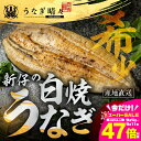 【ふるさと納税】\★5 高評価/ 希少 『うなぎ晴々』白焼 選べるお届け時期 厳選 国産 山義養魚 新仔うなぎ 若うなぎ 鰻 簡易包装 ウナギ うなぎ 鰻 ギフト 配布 最高級 土用丑の日 ギフト 冷凍 お取り寄せ 送料無料 年末配送 豊橋うなぎ 豊橋