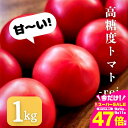 【ふるさと納税】≪先行予約≫糖度9度以上!『高糖度 フルーツトマト 麗(れい)』 1kg トマト 愛知県 豊橋市 ブランドトマト 野菜 赤 トマト フルーツトマト 14000円 フルーツ お弁当 甘い おかず