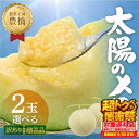 【ふるさと納税】≪先行予約 2026年発送≫ 温室マスクメロン 2玉 選べる【贈答 / 訳あり】めろん メロン マスクメロン 訳あり わけあり 贈答 ギフト プ...