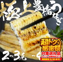 【ふるさと納税】 極上 豊橋うなぎ 白焼 選べる尾数 2尾 〜 3尾 岩塩 付き 厳選 国産 鰻 ウナギ うなぎ 鰻 白焼き 最高級 ひつまぶし 土用丑の日 ギ...