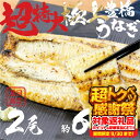 【ふるさと納税】希少 極上 豊橋うなぎ 特大 2尾 ~600g白焼 厳選 国産 鰻 簡易包装 訳あり ウナギ うなぎ 鰻 白焼 夏目商店 ギフト 配布 最高級 ...