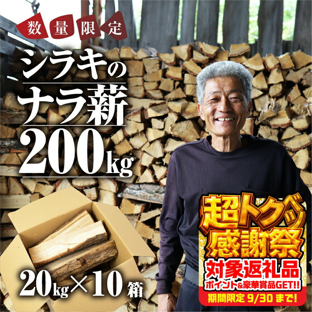 【ふるさと納税】《先行予約》ナラ 乾燥薪 200kg 楢 20kg × 10箱 楽天限定 大容量 国産 焚火 キャンプ アウトドア BBQ キャンプ用品 アウトドアグッズ レジャー ご家庭用 簡易包装 訳あり ご自宅用 別送 別荘 冬 薪 まき 燃料 料理 送料無料