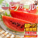 【ふるさと納税】≪先行予約 2026年発送≫ ながちゃん農園の 小玉スイカ 2玉|ピノガール 小玉すいか 小玉 すいか 西瓜 スイカ くだもの フルーツ 果物 旬 夏 スイーツ 愛知県 豊橋市|詳細画像
