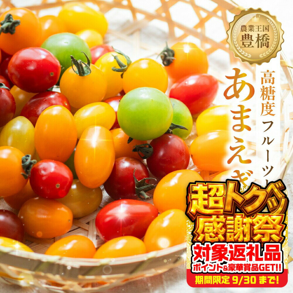 【ふるさと納税】≪先行予約≫あまえぎみ クレア5色 フルーツトマト 1キロ 1kg たっぷり ミニトマト プチトマト トマト 高糖度 甘い フルーツ 野菜 お弁当 サラダ ギフト 詰め合わせ とまと 特産品 ブランド ブランドトマト 愛知県 豊橋市