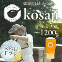 【ふるさと納税】≪父の日お届け≫豊橋蜂蜜【kosaji】春はちみつ ~1200g ≪選べる 300g / 600g / 1.2kg≫ボトル 蜂蜜 はちみつ 国産...