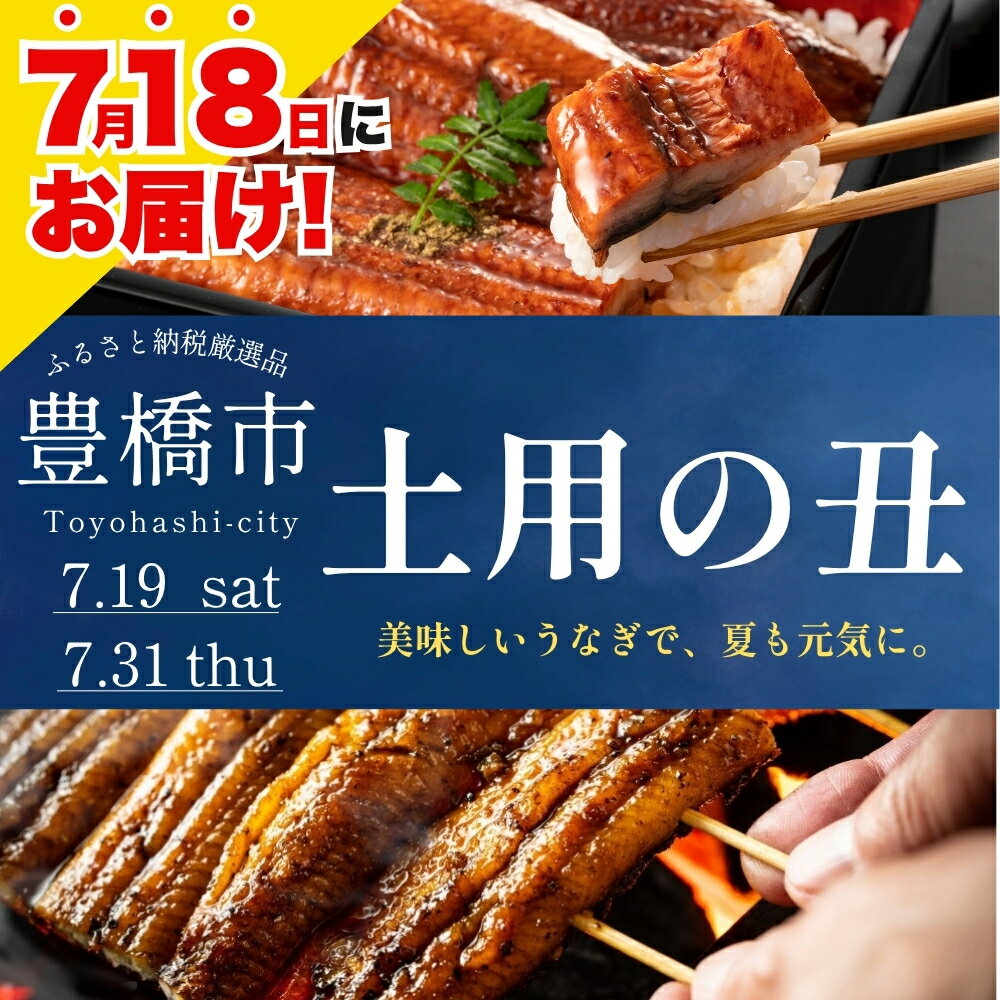 【ふるさと納税】≪7月18日に届く！≫国産うなぎ蒲焼 2尾~10尾 タレ・山椒付 ≪選べる...