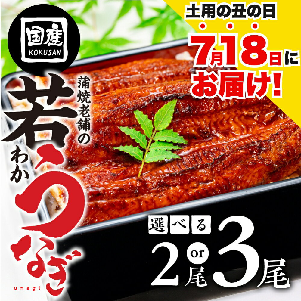 ≪7月18日に届く!≫ 国産若うなぎ 2尾〜3尾 選べる 老舗 国産うなぎ セット 詰め合わせ 蒲焼 ウナギ 2尾 3尾 厳選 冷凍 土用 丑の日 土用の丑の日 鰻 国産 高級 蒲焼 お歳暮 お中元 unagi 土用 豊橋うなぎ 愛知県 豊橋市 9000円 13000円