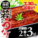 【ふるさと納税】 ≪土用の丑の日≫ 国産若うなぎ 2尾〜3尾 選べる 老舗 国産うなぎ セット 詰め合わせ 蒲焼 ウナギ 2尾 3尾 厳選 冷凍 土用 丑の日 ...