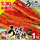 【ふるさと納税】≪土用の丑の日≫訳あり 国産 うなぎ ~10尾 ~1キロ 蒲焼 うなぎ 愛知県 三河 宮崎 静岡 産地 おまかせ 尾数 不揃い 2尾 3尾 4尾 5尾 6尾 8尾 10尾 長蒲焼 冷凍 丑の日 鰻 unagi わけあり 規格外 土用の丑の日 送料無料 豊橋市 豊橋うなぎ