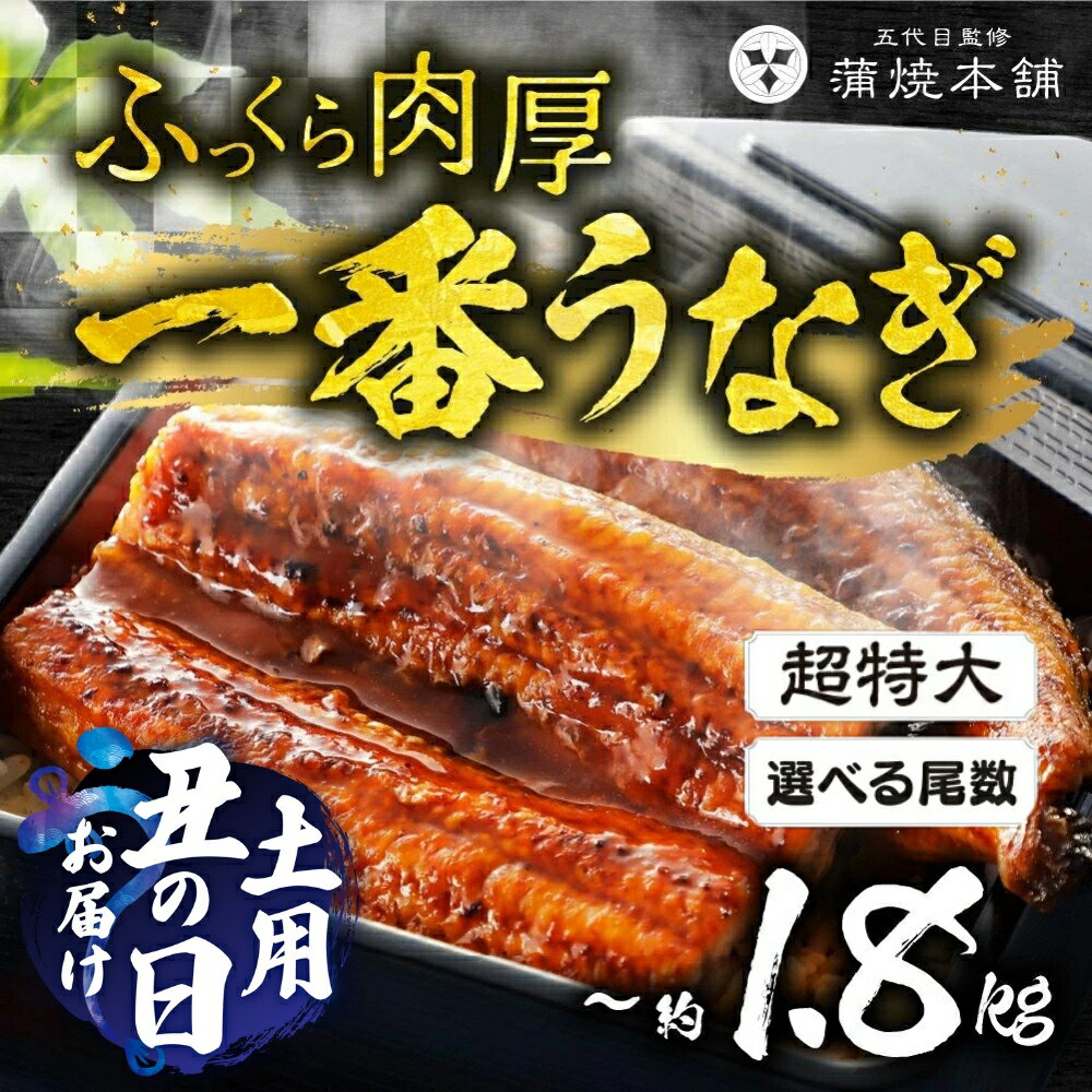 1尾で2.5人前!国産うなぎ蒲焼 超特大 2尾~6尾 タレ付[選べる]2尾 4尾 6尾 うなぎ unagi 鰻 国産 ウナギ 蒲焼 丑の日 土用の丑の日 国産うなぎ 贅沢 ご褒美 お取り寄せ うな重 うな丼 ひつまぶし 冷凍 惣菜 内祝い 誕生日 お祝い お歳暮 愛知県 豊橋市