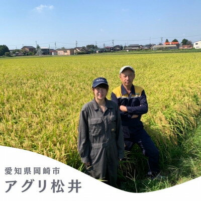 愛知県岡崎市の画像3