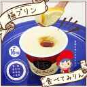 【ふるさと納税】こだわり極プリンとプリン専用スプーンのセット【配送不可地域:離島】【1430286】