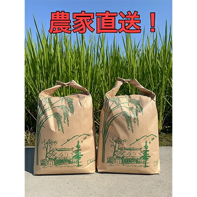 【毎月定期便】10kg×3ヶ月　農家直送!低農薬コシヒカリ 全3回【4005228】