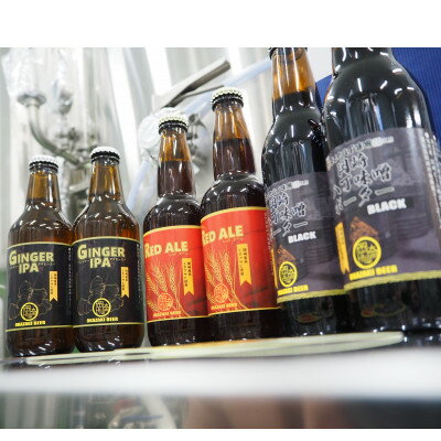 【ふるさと納税】【岡崎ビール】ジンジャーIPA,レッドエール、岡崎八丁味噌ポーター 3種6本セット【配送不可地域:離島】【1478641】