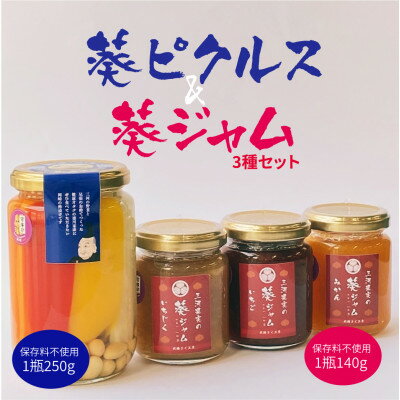 【ふるさと納税】葵ピクルス「あいちの家康」250gびん1本&葵ジャム140g3種セット【配送不可地域:離島】【1575495】