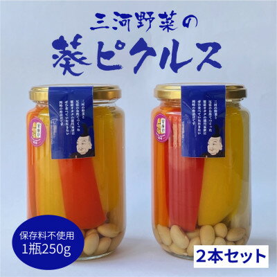 【ふるさと納税】三河野菜の葵ピクルス「あいちの家康酢漬」250gびん2本【配送不可地域:離島】【1575501】
