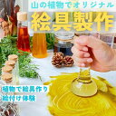 【ふるさと納税】山の植物でつくるオリジナル絵具製作体験 1名様【1581781】