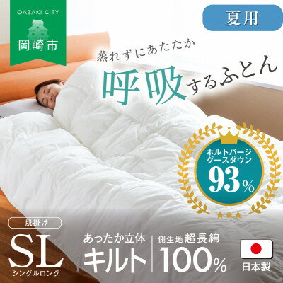 ڤդ뤵Ǽǡ[]ˤ˷ڤʤӤդȤ (󥰥󥰥)150x210cm(HVG)1615523