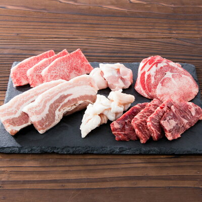 愛知県岡崎市の画像2