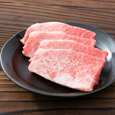 愛知県岡崎市の画像3