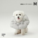 【ふるさと納税】【ハナロロ】エリザベスカラー M(アッシュグレー)【1645429】