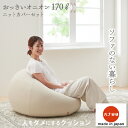 【ふるさと納税】【ハナロロ】 ビーズクッション おっきいオニオン170リットル ニットカバー付(ベージュ)_ ビーズクッション クッション オニオンソファ タキ...