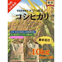 【ふるさと納税】【先行予約中】農家直送!令和5年度産新米低農薬コシヒカリ10kg(5kg×2袋)【1428167】