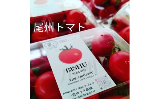 愛知県一宮市の画像3